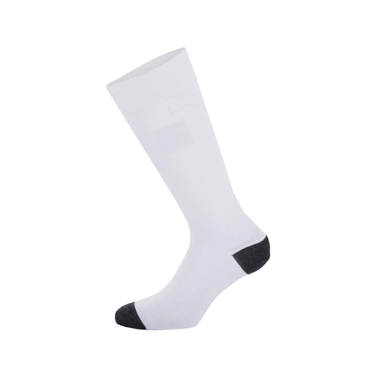 ALPINESTARS FIA ZX V4 sokid
