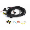 LAZER Two-Lamp Wiring Kit - Long (2-Pin, Superseal, 12V)