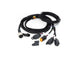 Lazer Four-Lamp Harness Kit with ITT Connector (4-Pin, Deutsch DT, 12V) for Carbon-6
