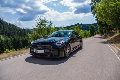 KW Variant 3 INOX (Kia Stinger (CK))