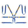 SABELT Steel Rally 6-point FIA Harness