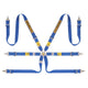 SABELT Steel Rally 6-point FIA Harness