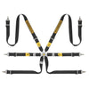 SABELT Steel Rally 6-point FIA Harness Eesti