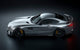 ZACOE Side Skirts Set Carbon Fiber - Mercedes-Benz GT / GT S